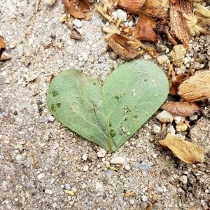 Meet your Posher, Joan